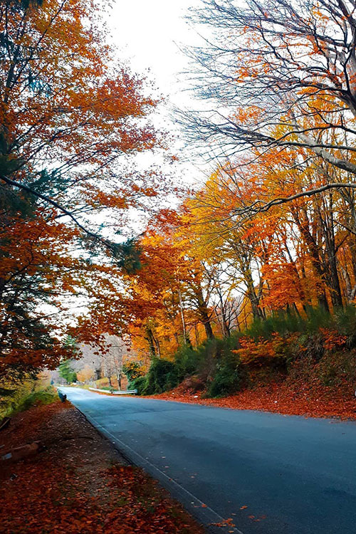 Monte terminio